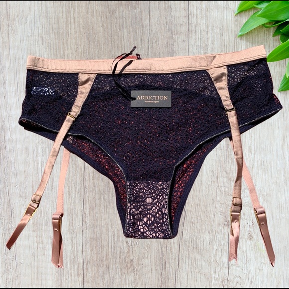 NWT Small ADDICTION sexy, sheer lace garter panty. - Picture 1 of 5